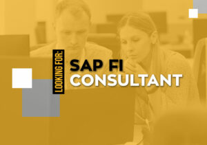 SAP-FI-Consultant