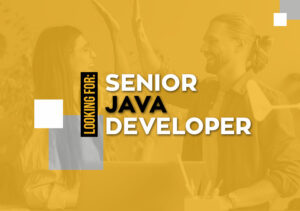 Senior-Java-Developers-