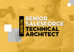 Senior Salesforce Technical Architect