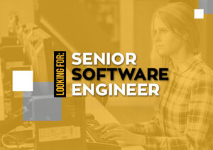 Senior-Software-Engineer